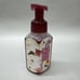 Lot Of 4! Bath & Body Works Gentle Foaming Hand Soap BOARDWALK VANILLA CONE NEW