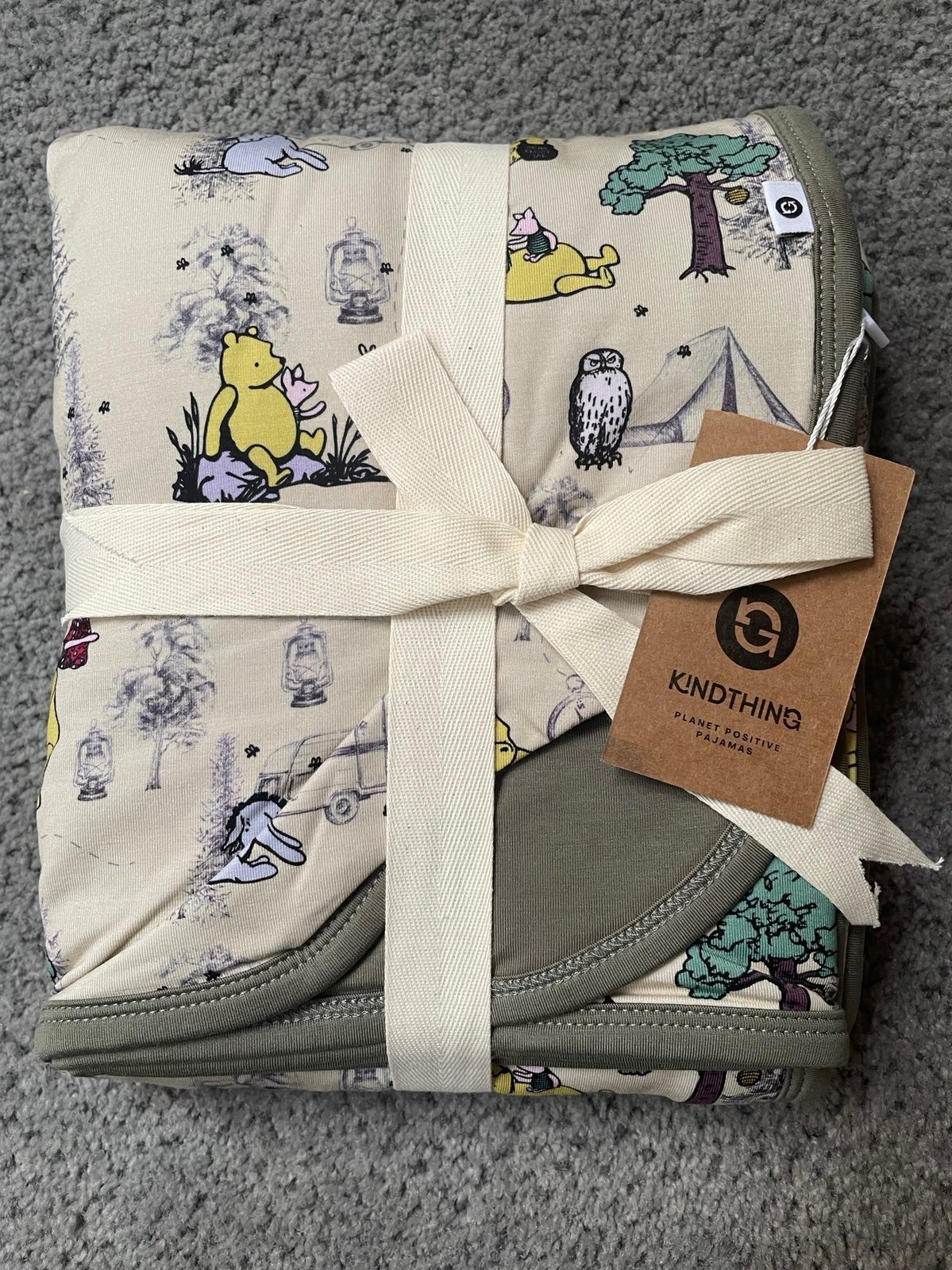 100 acre adventures blanket