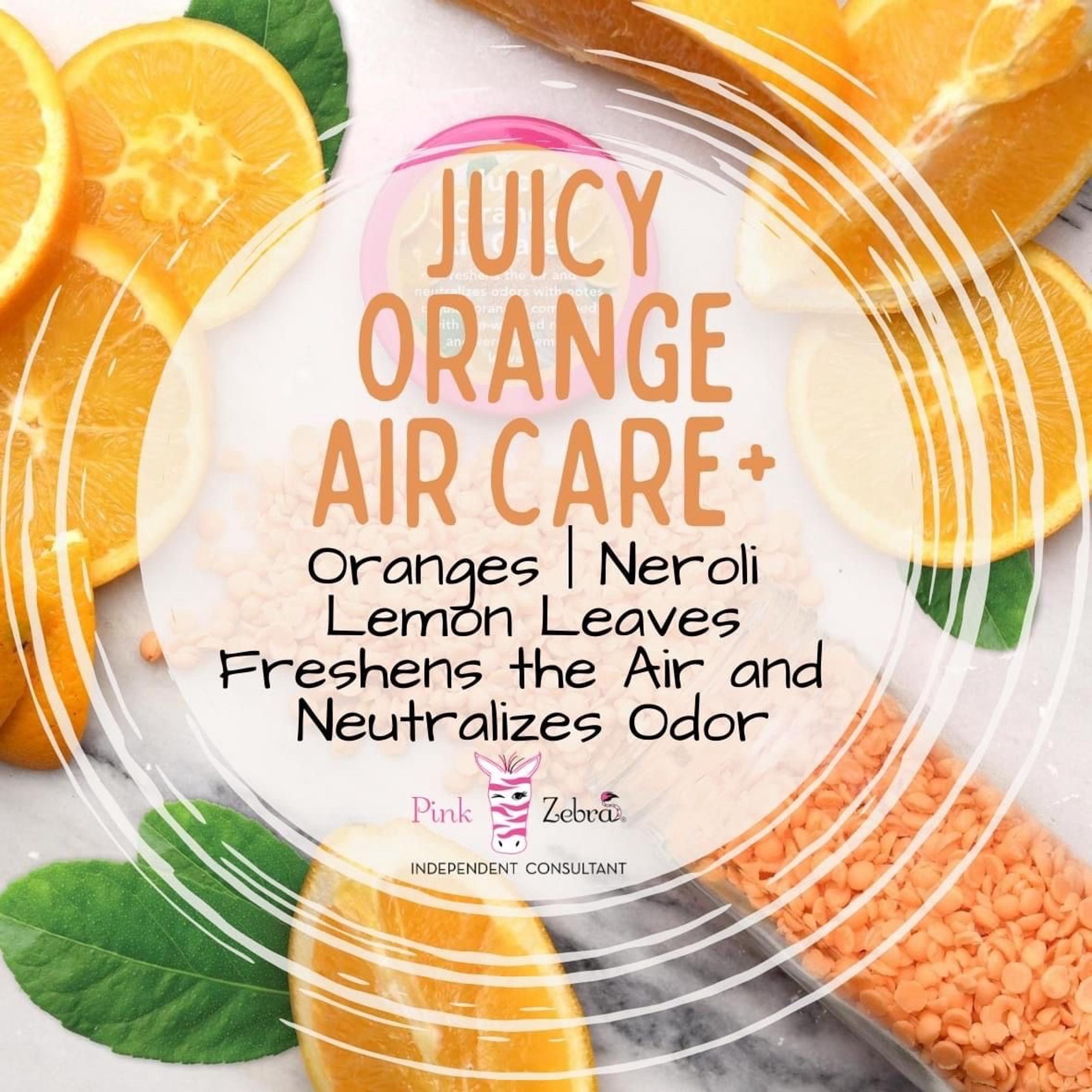 Pink Zebra Juicy AirCare+