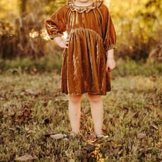 Size 4 Noralee Velvet Dress