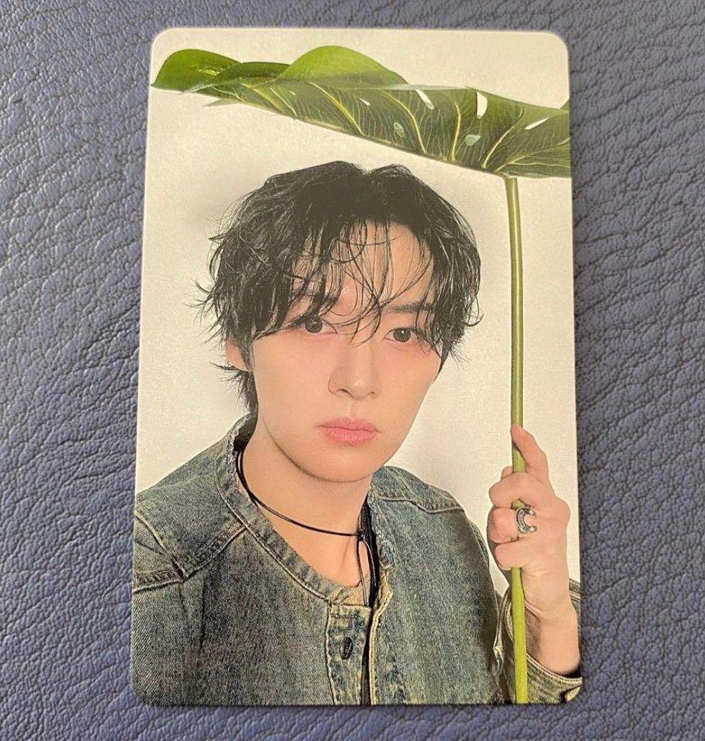 StrayStray Kids dominATE domin ate Japan day 2 shizuoka venue lee know photocard