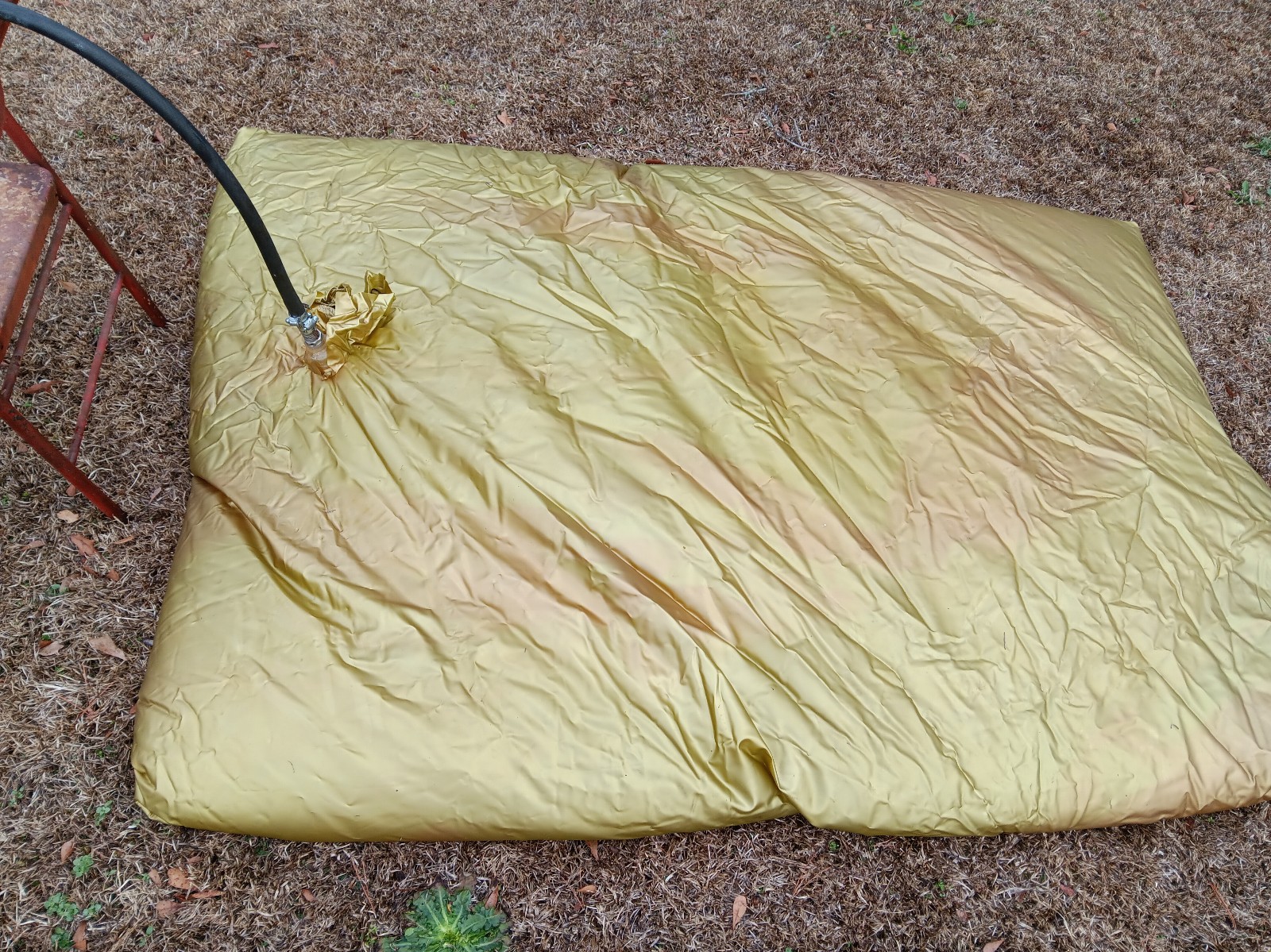 Full size waterbed bladder and heater