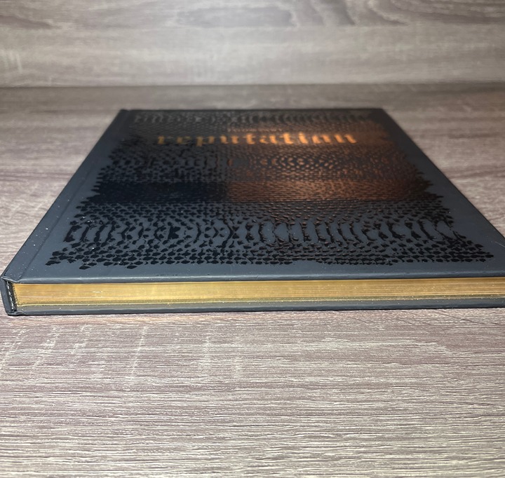 Taylor Swift Reputation Tour Book