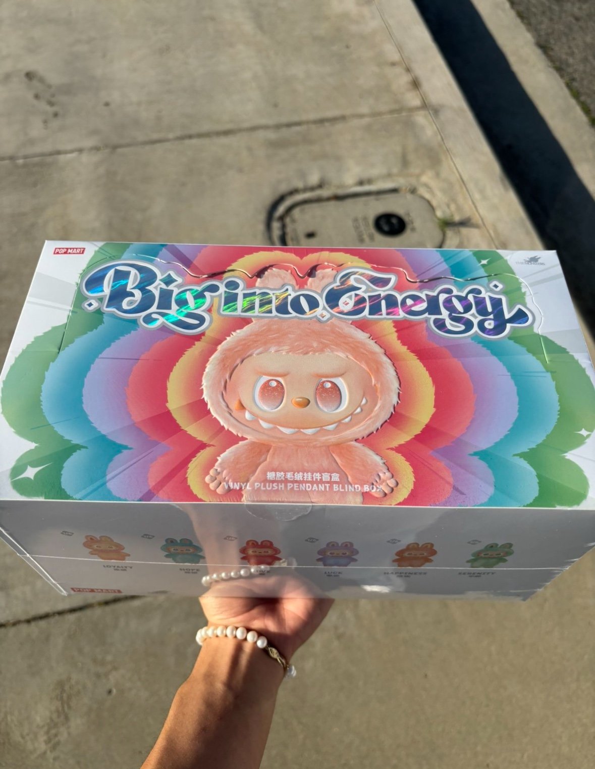 Pop Mart Labubu Big Into Energy (SEALED BOX)
