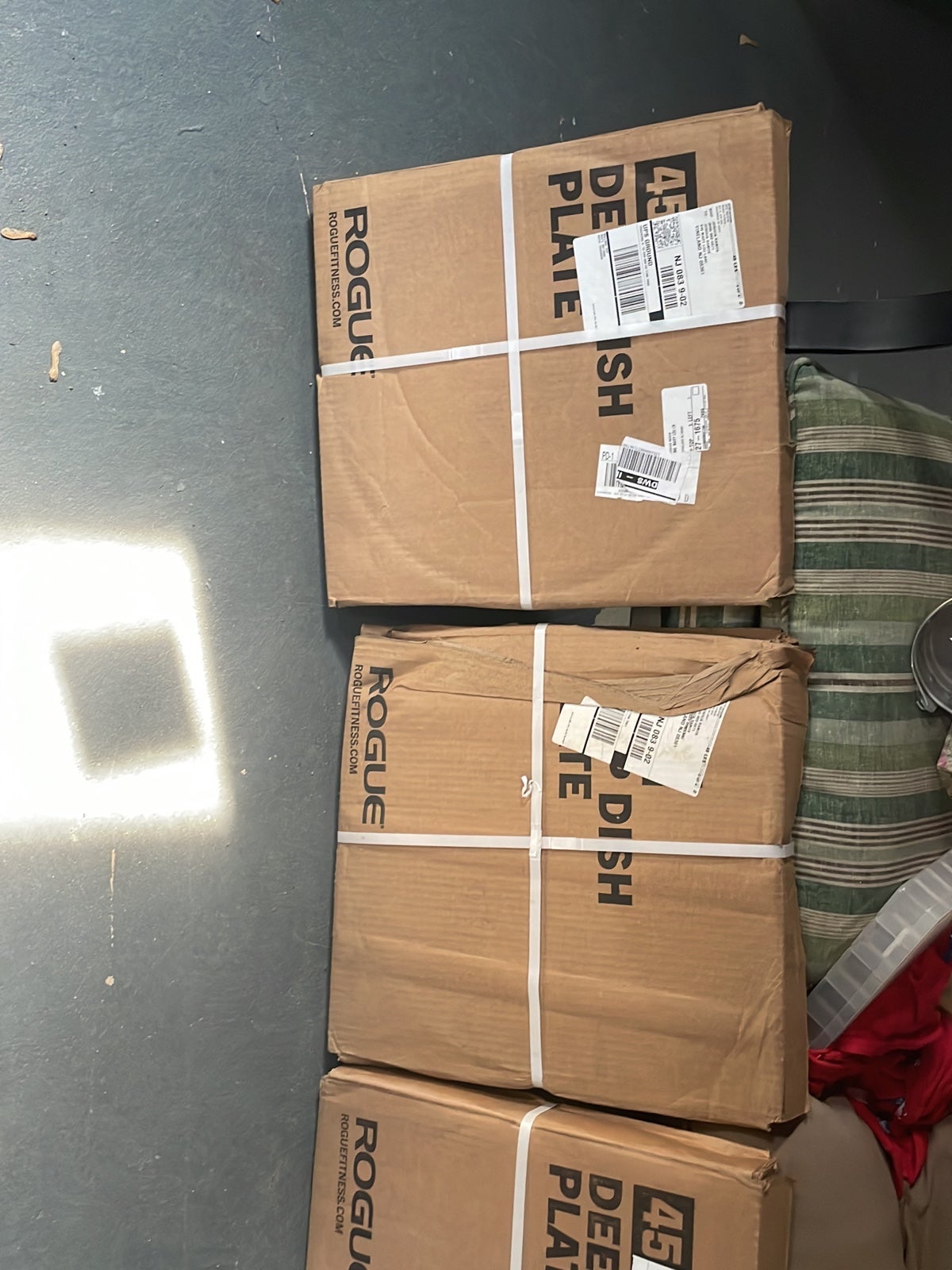 ROUGE FITNESS 45lb DEEP DISH PLATES