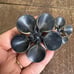 Antique Bakelite?? Set of 3 Flower Floral Shoe Pin Decorative Ornaments