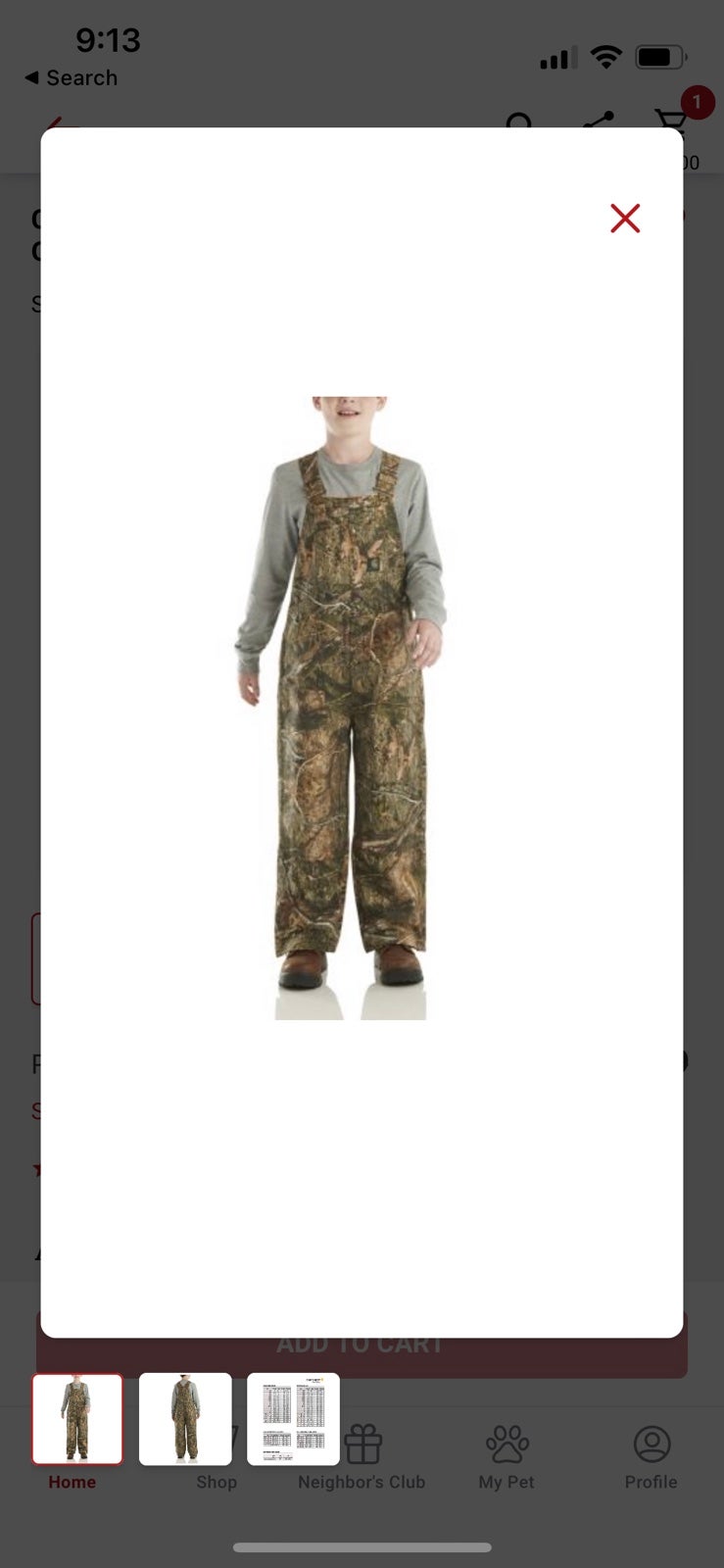 Carhart Youth insulate bibs