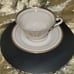 Governor Clinton Siracuse China set