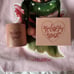 Melanie Martinez trilogy tour vip