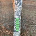 Burton 152 cm Snowboard (5ft)