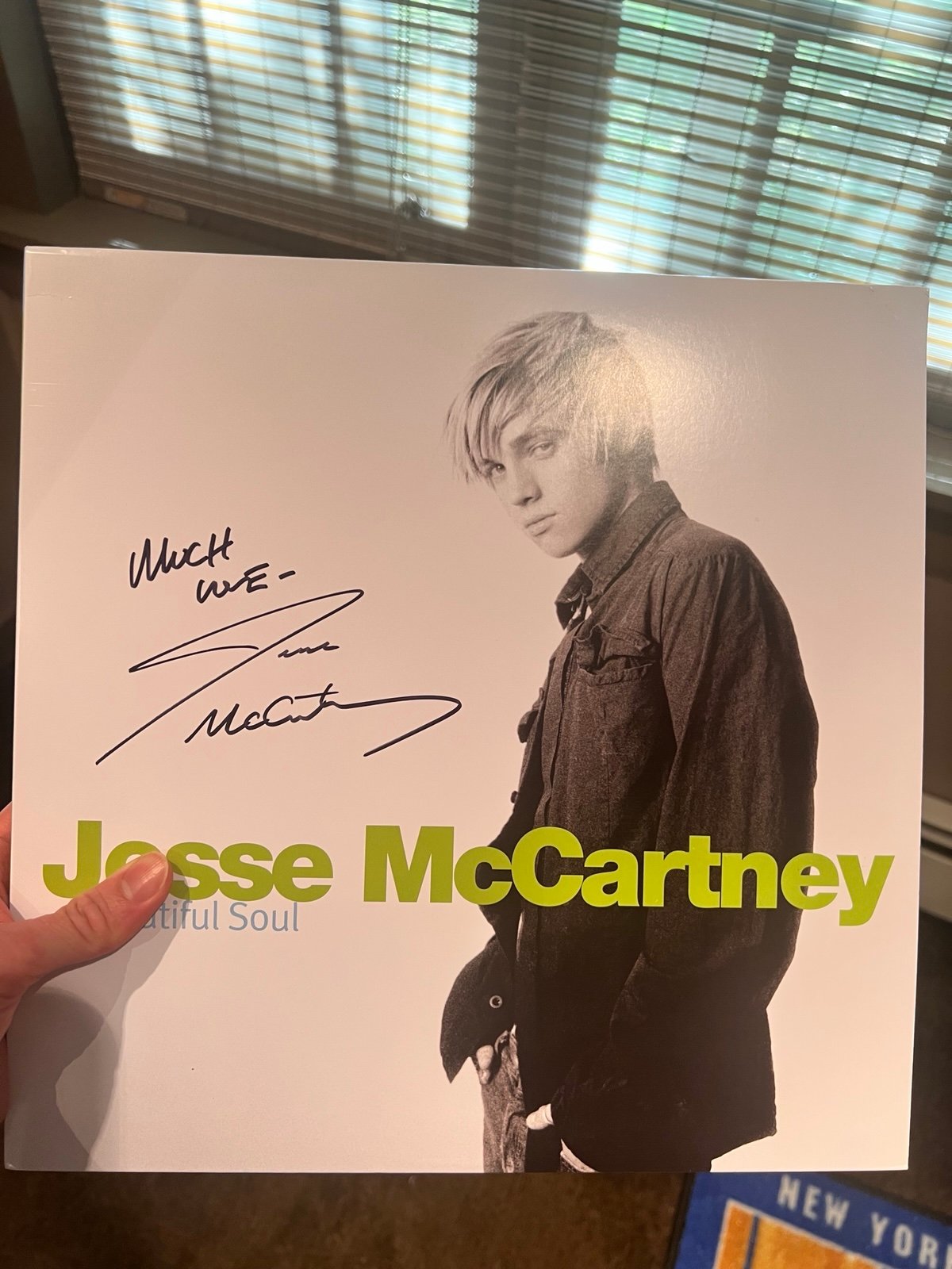 [LAST ONE] Jesse McCartney SIGNED 20th Anniversary Beautiful Soul Vinyl