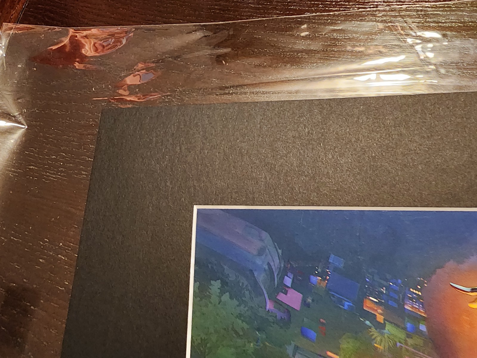 Overwatch Welcome to Rio LE art print SIGNED Blizzard Blizzcon - detail