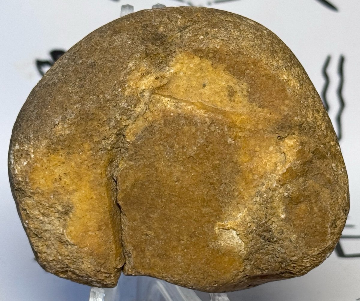 Native American Indian Authentic Stone Effigy Artifact Carved Stone • VA