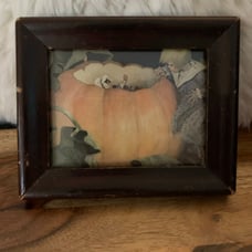 Vintage Pumpkin picture