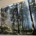 Forest Tapestry Home Decor Landscape Tapestry (Morning Forest, 90.5''L×70.8''W)