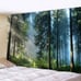 Forest Tapestry Home Decor Landscape Tapestry (Morning Forest, 90.5''L×70.8''W)