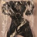 Doggy Front Passenger Car Seat NWT