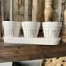 Rae Dunn Planter Set live love plant with tray
