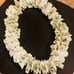 Graduation Leis
