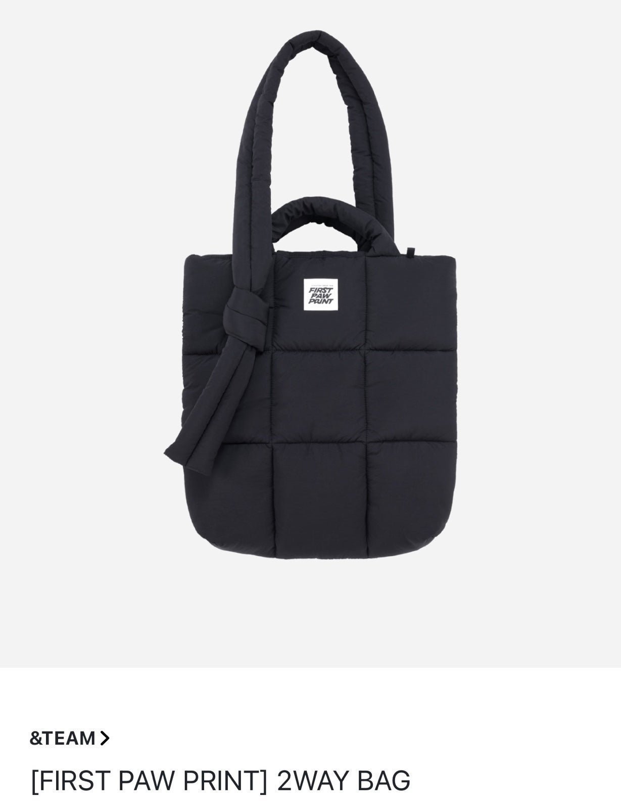 &TEAM First Paw Print tour merch: 2-way bag