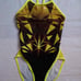 ★ arena FSA-0619W L Toughsuit Practice Suit ★