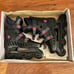 Vtg 1990s Skate Attack by Ultra Wheels Inline Skates Mens Sz 7 Wayne Gretzky VGC