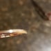 14k solid gold diamond ring