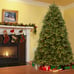 6' Spruce 600 Dual Color Changing LED Tree