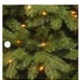 6' Spruce 600 Dual Color Changing LED Tree