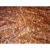 Bless Living Twin Reversible Bedspread Blanket 2 Shams Storage Bag College Dorm