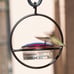 Best Small Hanging Hummingbird Feeder - Beautiful Glass & Metal