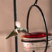 Best Small Hanging Hummingbird Feeder - Beautiful Glass & Metal