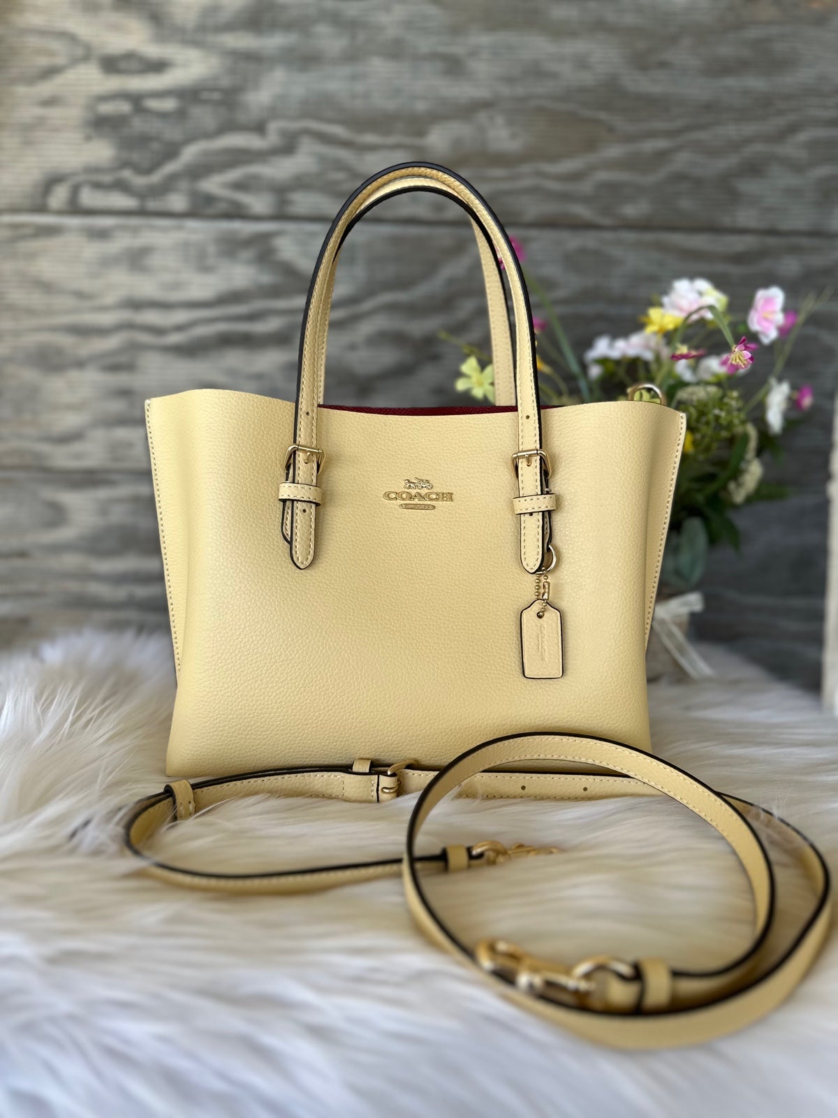 Coach Mollie 25 Satchel Crossbody