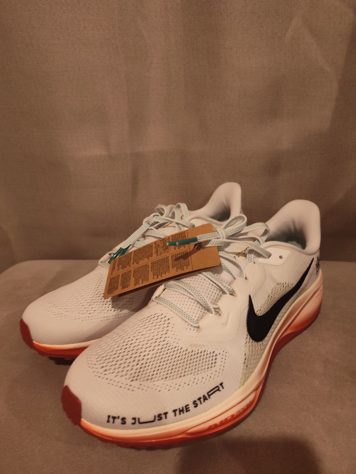 Nike Air Zoom Pegasus 41 Eliud Kipchoge White Ivory Men’s US Size 10 No Box