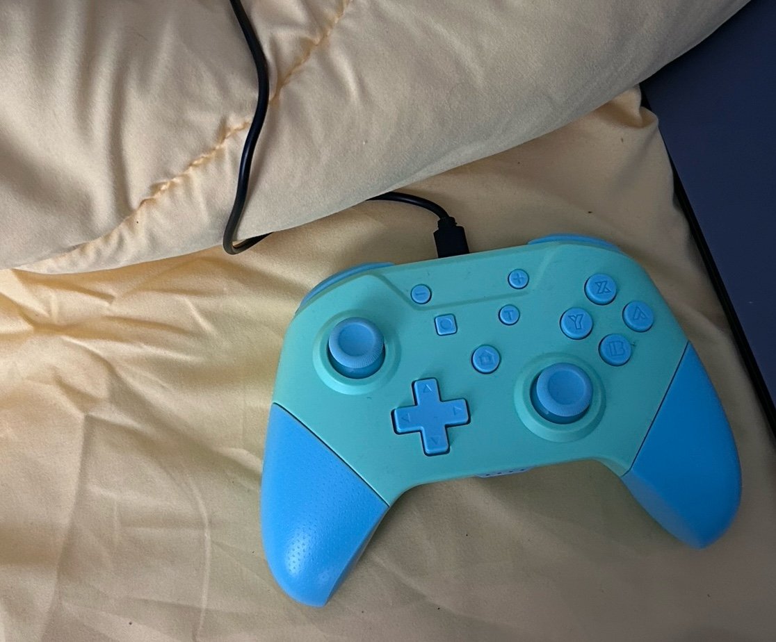 2 Nintendo game controllers