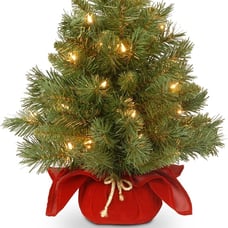 2Foot Majestic Fir Mini Christmas Tree with Lights