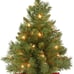 2Foot Majestic Fir Mini Christmas Tree with Lights