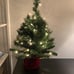 2Foot Majestic Fir Mini Christmas Tree with Lights