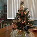 2Foot Majestic Fir Mini Christmas Tree with Lights