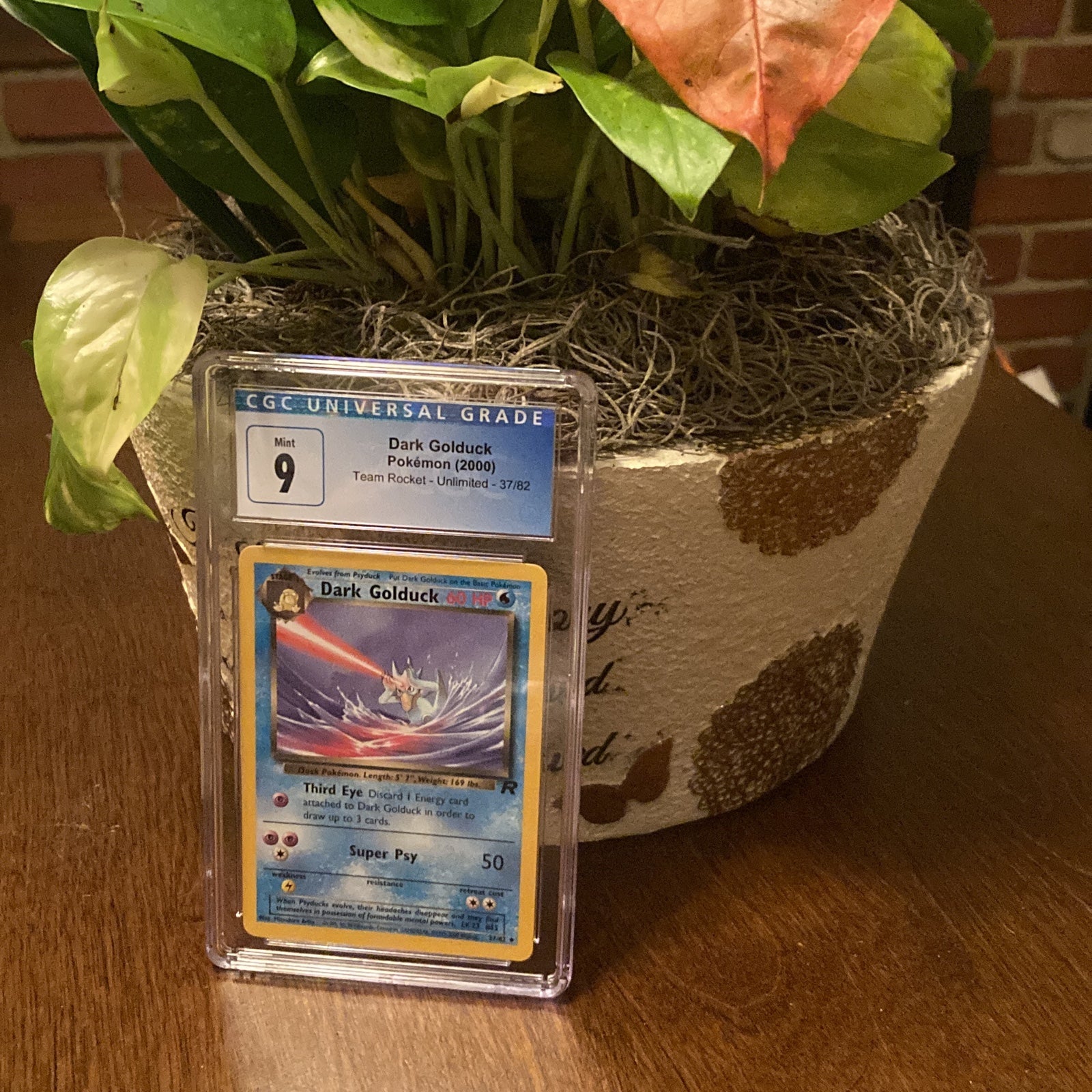 Pokémon Dark Golduck Team Rocket 2000 CGC graded 9