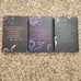 What Lies Beyond the Veil Signing Editions