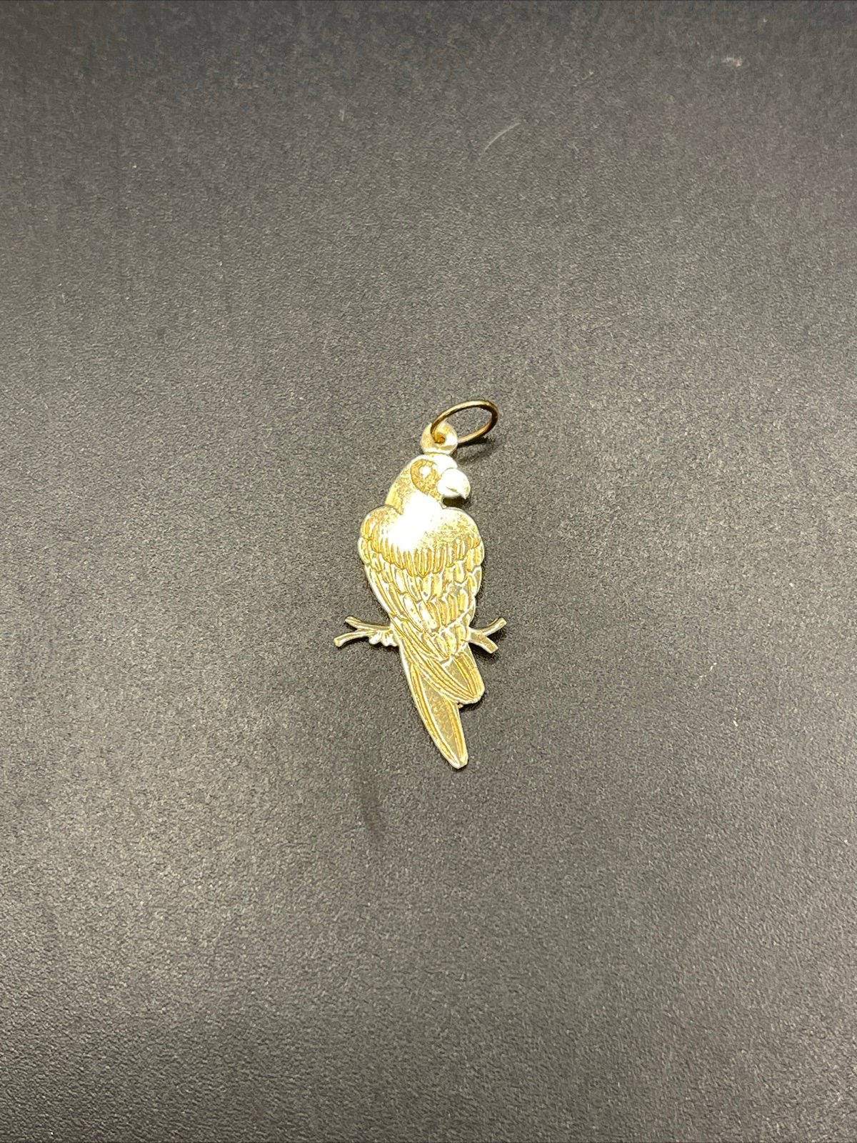 Pendent 14k Parrot Etched 092123aIZDD
