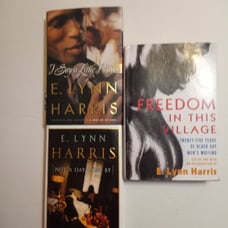 E. Lynn Harris Bundle 1st Edition Hardcovers