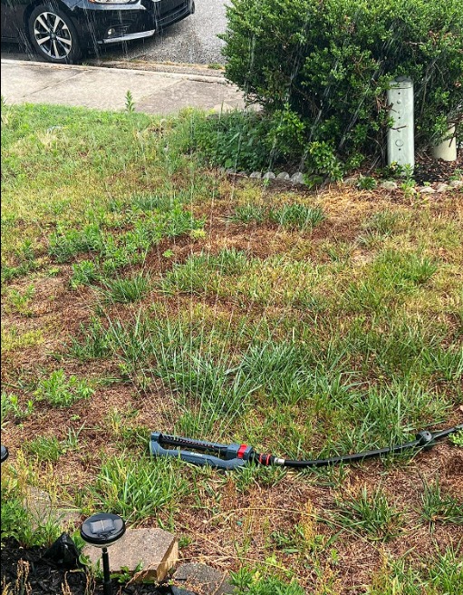 Lawn & Garden Essential Oscillating Sprinkler | Water Sprinkler