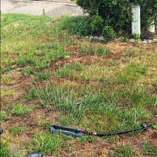 Lawn & Garden Essential Oscillating Sprinkler | Water Sprinkler