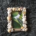 Key west seashells and sand picture frame