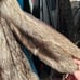 genuine fur coat