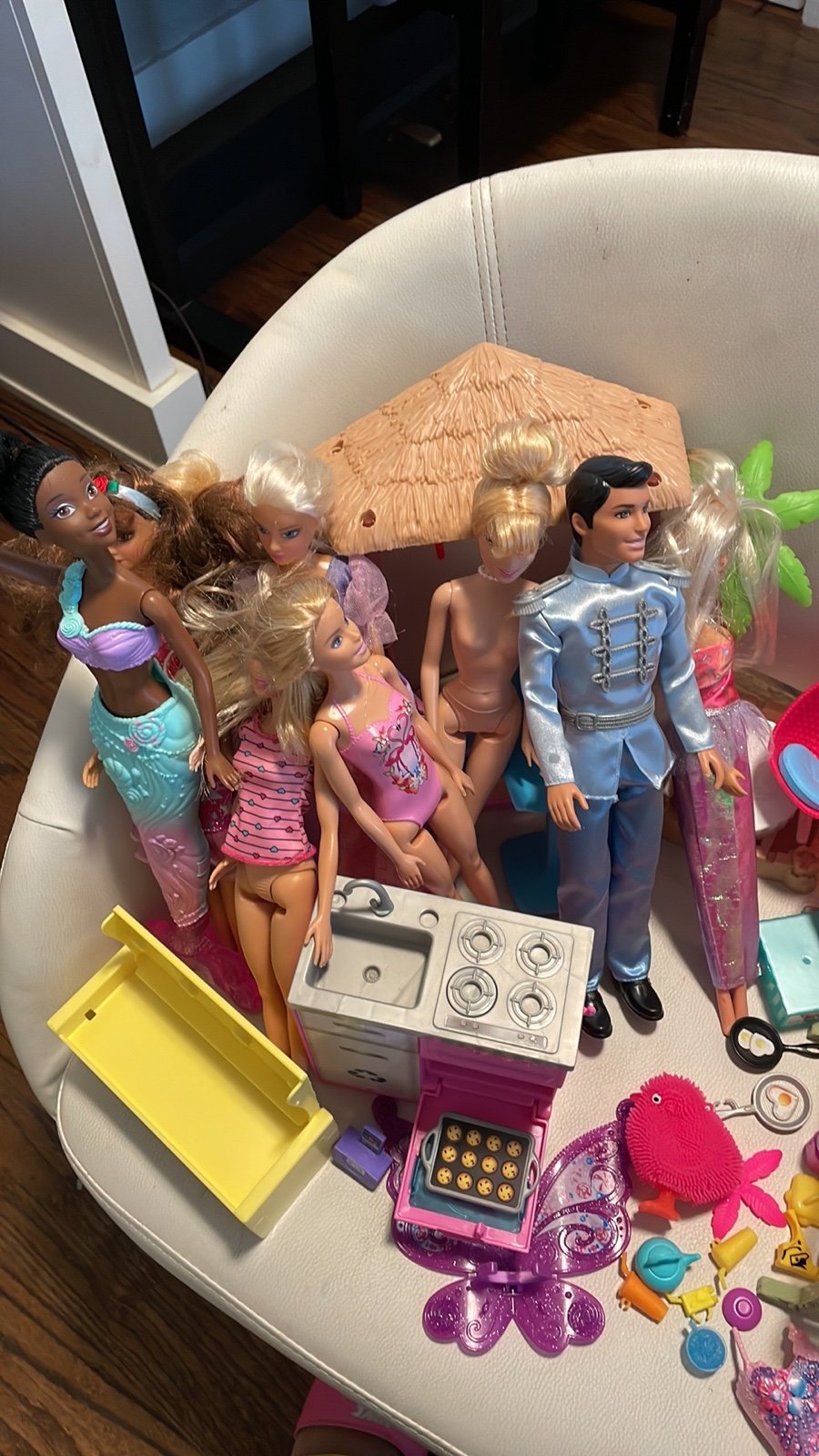 Barbie dolls and accessories