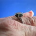 4.85ct 100% REAL NATURAL BLACK DIAMOND RING, CERTIFICATE,FR EE DIA TESTER Size 6