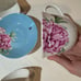 ROYAL ALBERT MIRANDA KERR EVERYDAY FRIENDSHIP TEACUP & SAUCER MIXED COLORS